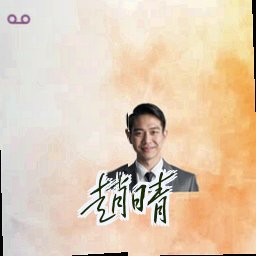 赵晴